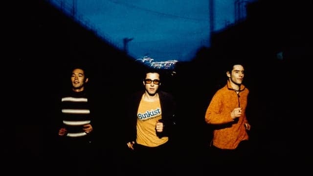 Feeder - Polythene Live