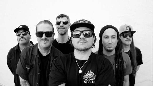 THE ELOVATERS - SHARK BELLY MOTEL TOUR