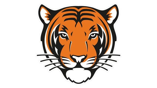 Princeton Tigers Mens Basketball vs. Hofstra Pride Mens Basketball