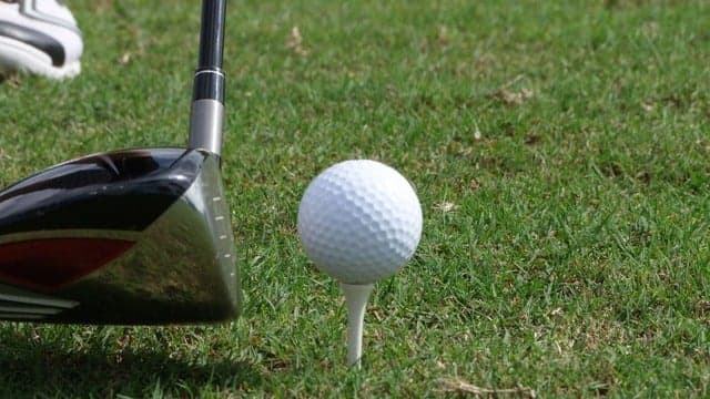 Sparky's Fairway