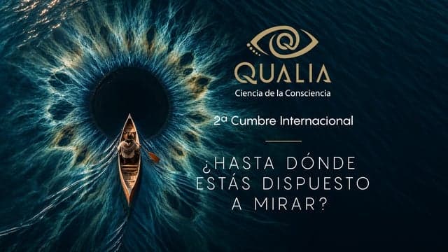 Qualia, 2a Cumbre Internacional de Ciencia de la Consciencia
