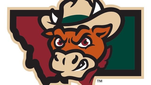 Billings Cattle Punchers vs. Ogden Mustangs